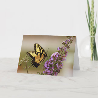 Butterfly Birthday Greeting Card