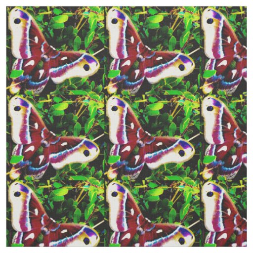 Butterfly Blues Fabric