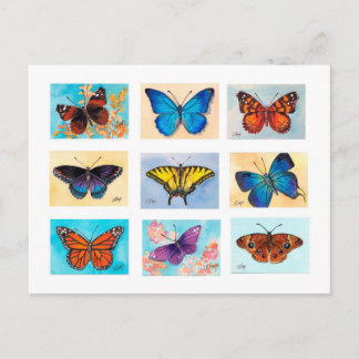 Butterfly Bonanza Postcard