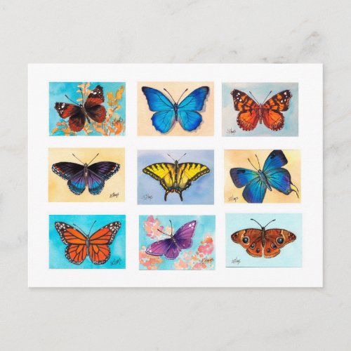 Butterfly Bonanza Postcard