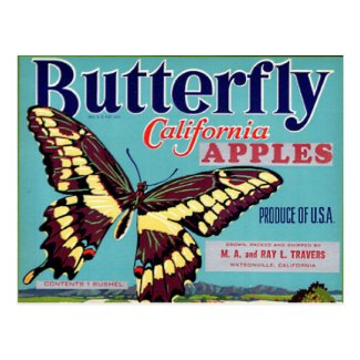 Butterfly Brand Postcard