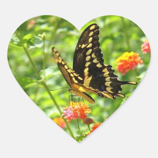 Butterfly Bright Heart Shaped Sticker (Front)