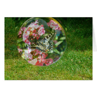 Butterfly Bubble Cards