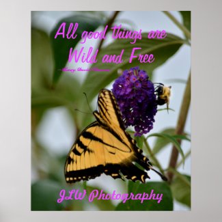 Butterfly & Bumblebee Wild and Free Thoreau Quote
