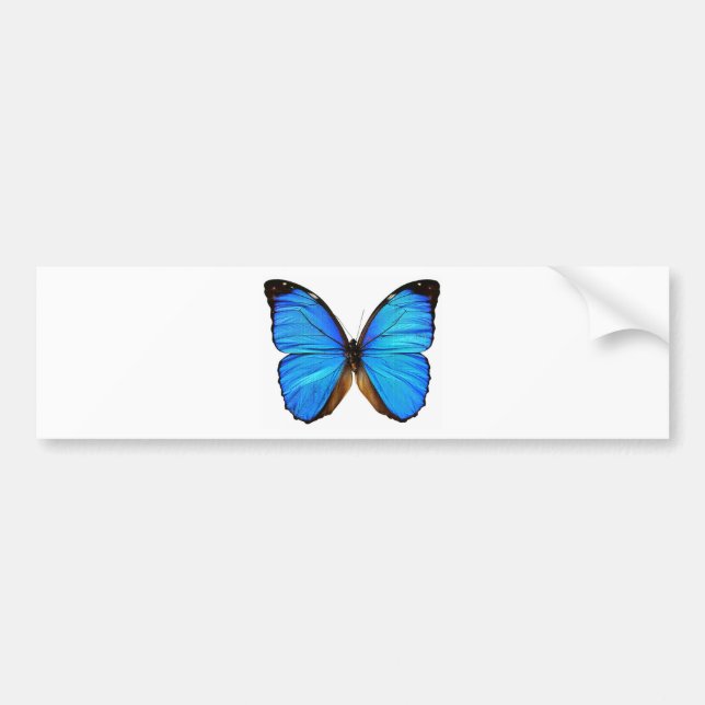 Butterfly Bumper Sticker (Front)