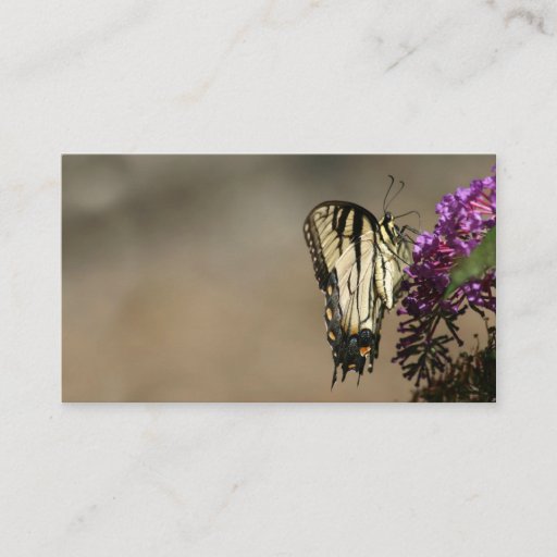 Customizable Butterfly business card