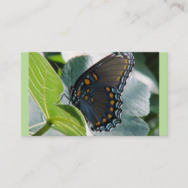 Butterfly Business Cards (Front)
