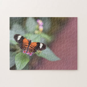 Butterfly Butterflies Nature Photography Garden Jigsaw Puzzle