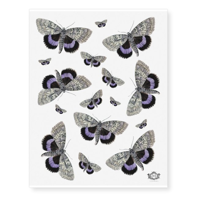 Butterfly, Butterfly, Temporary Tattoos (Front)