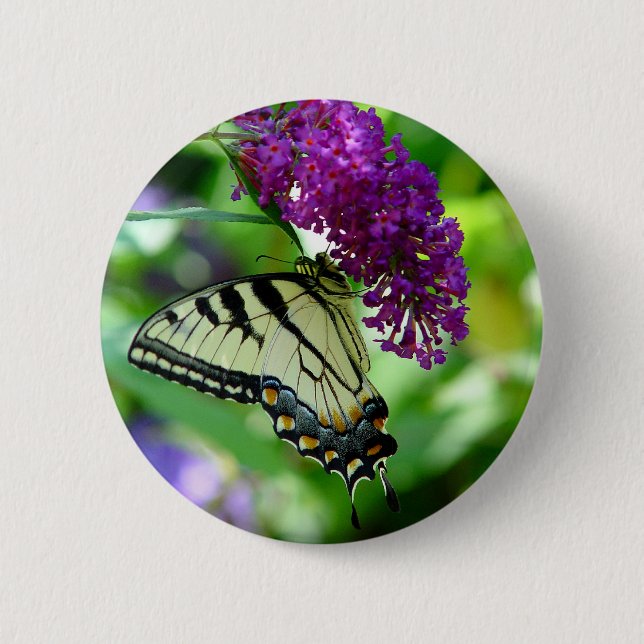 Butterfly Button (Front)