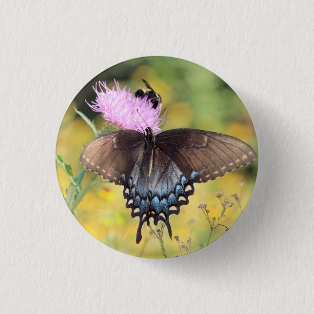 Butterfly   button (Front)