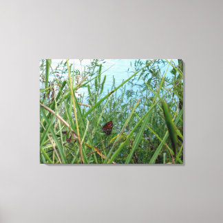 Butterfly by the River Canvas Print