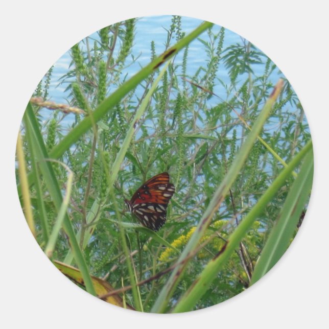 Butterfly by the River Classic Round Sticker (Front)