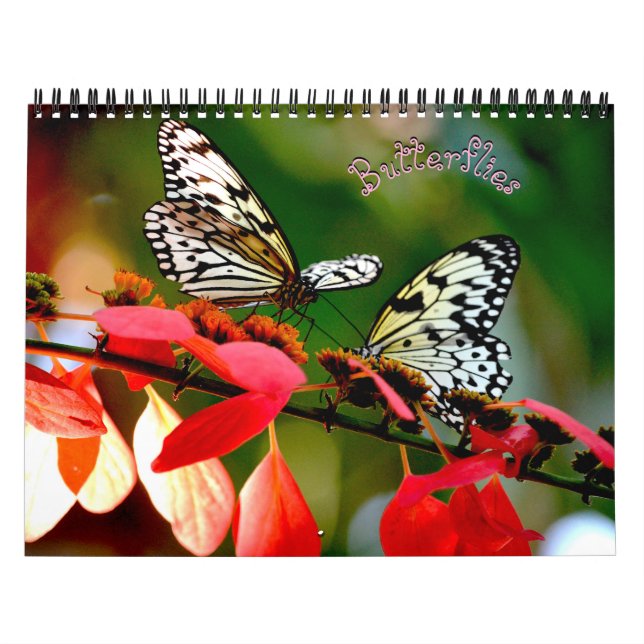 Butterfly Calendar (Cover)