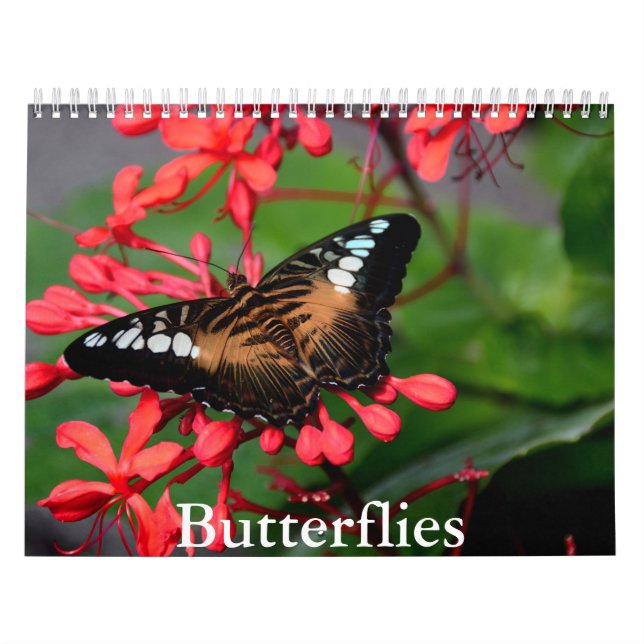 Butterfly Calendar (Cover)