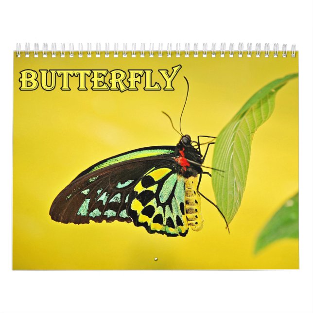 Butterfly Calendar (Cover)