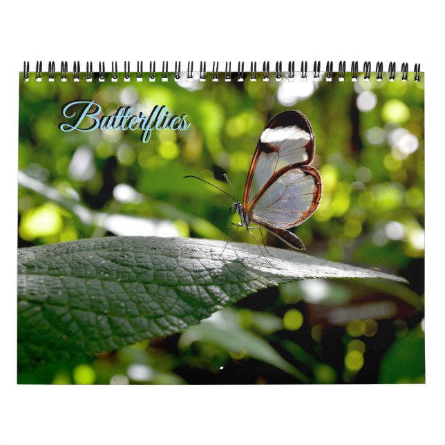 Butterfly Calendar (Cover)