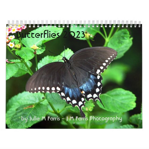 Butterfly Calendar 2023