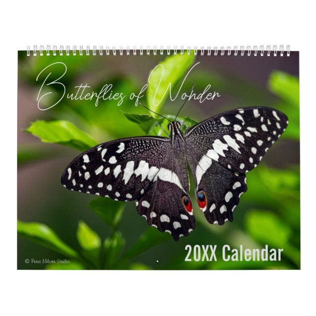 Butterfly Calendar Pick Your Start Month / Year (Cover)