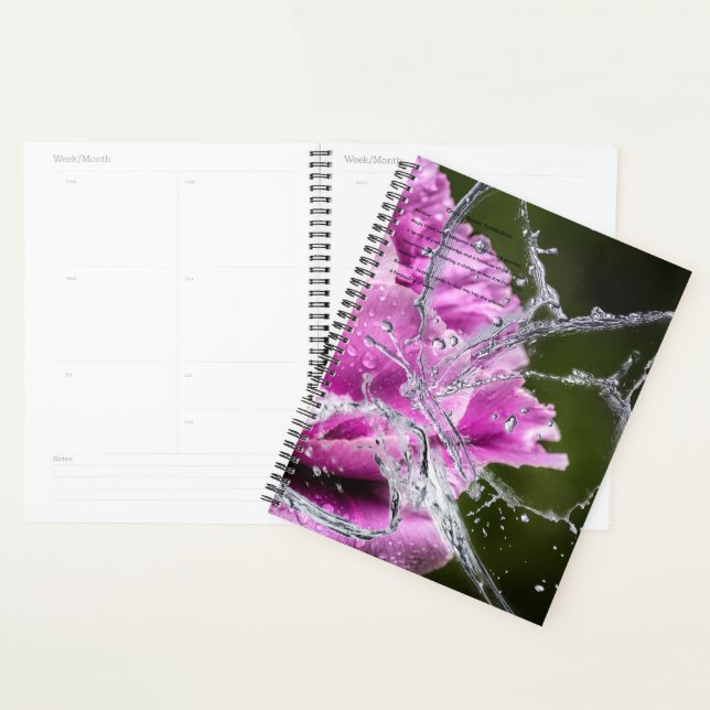 Butterfly Calendar Planner (Display)