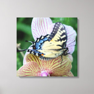 Butterfly Canvas Print