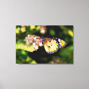 Butterfly Canvas Print