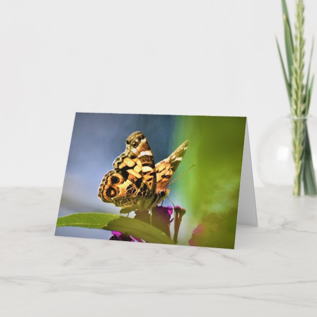 Butterfly, card (Front)