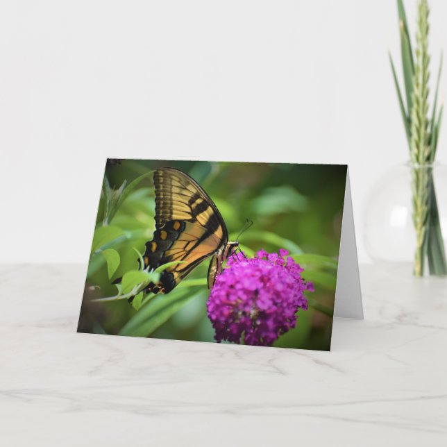 Butterfly, card (Front)