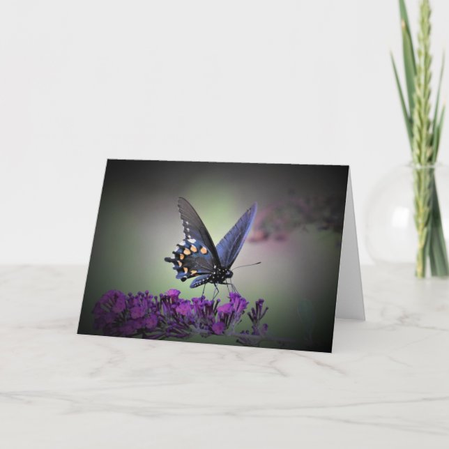 Butterfly, card (Front)