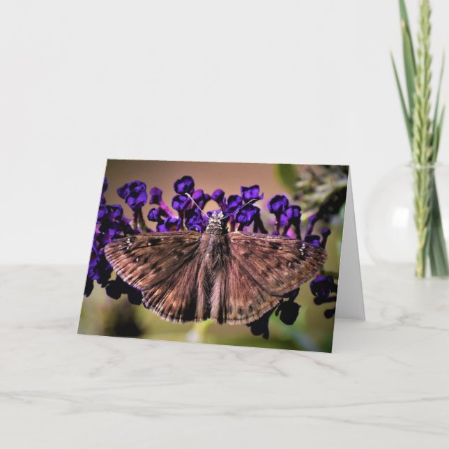 Butterfly, card (Front)