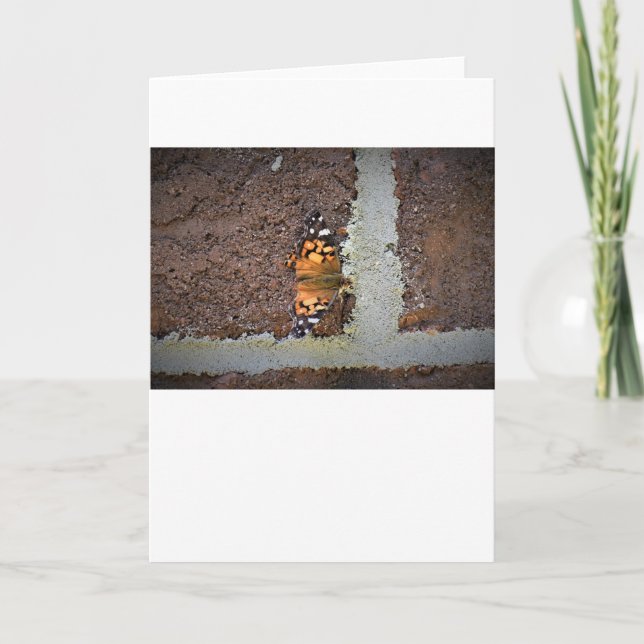 Butterfly, card (Front)