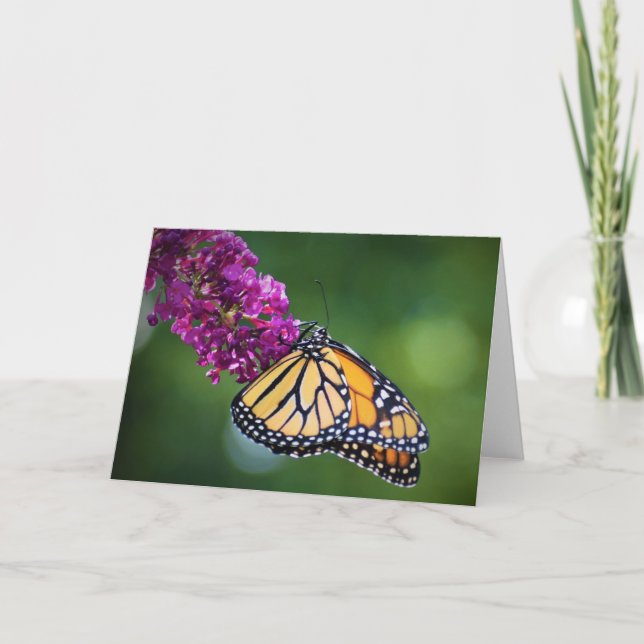 Butterfly, card (Front)