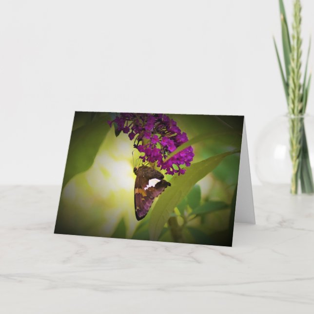 Butterfly, card (Front)