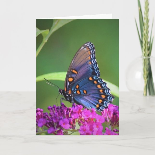 Butterfly, card (Front)