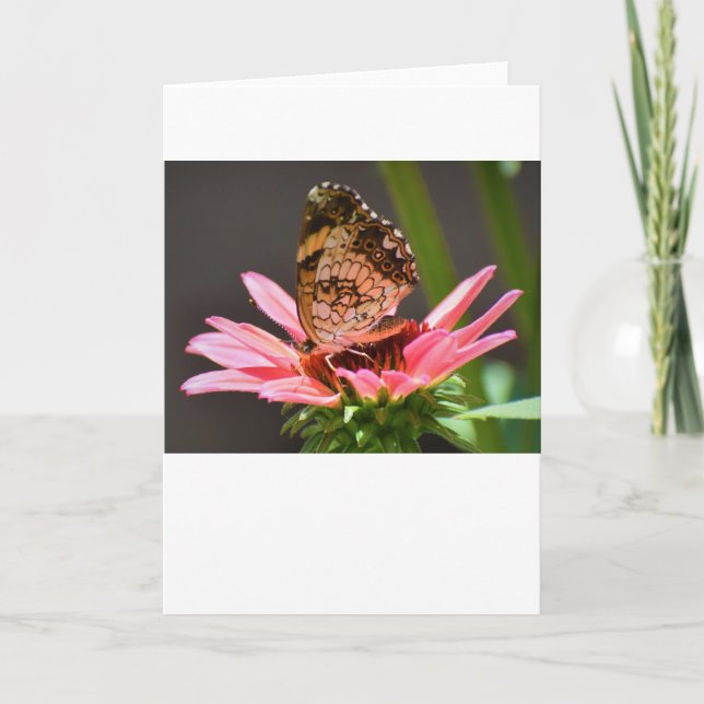 Butterfly, card (Front)