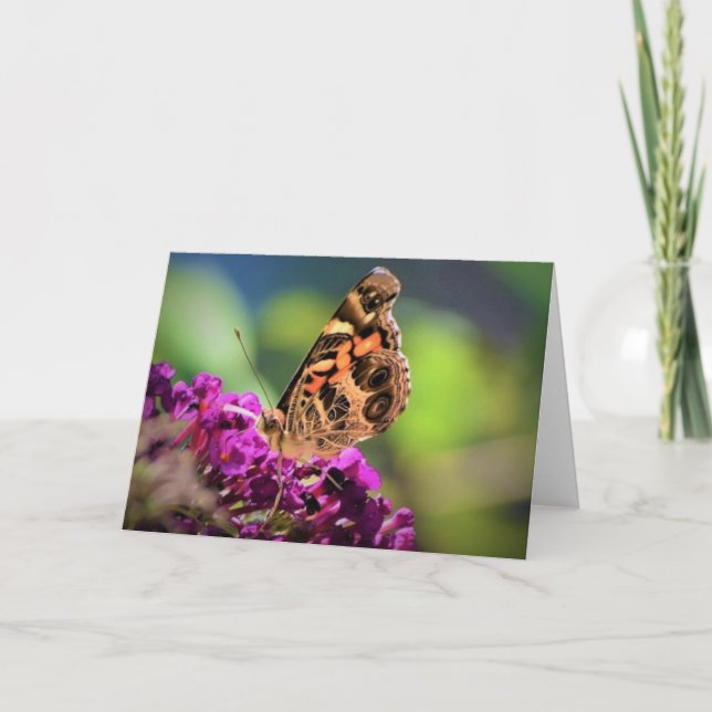 Butterfly, card (Front)
