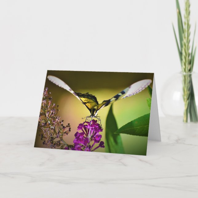 Butterfly, card (Front)
