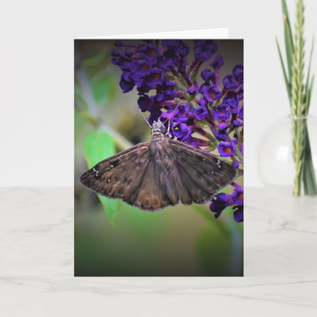 Butterfly, card (Front)