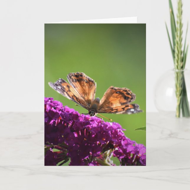 Butterfly, card (Front)