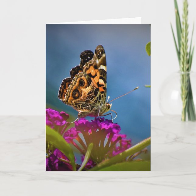 Butterfly, card (Front)