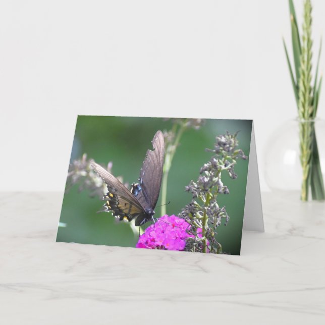 Butterfly, card (Front)