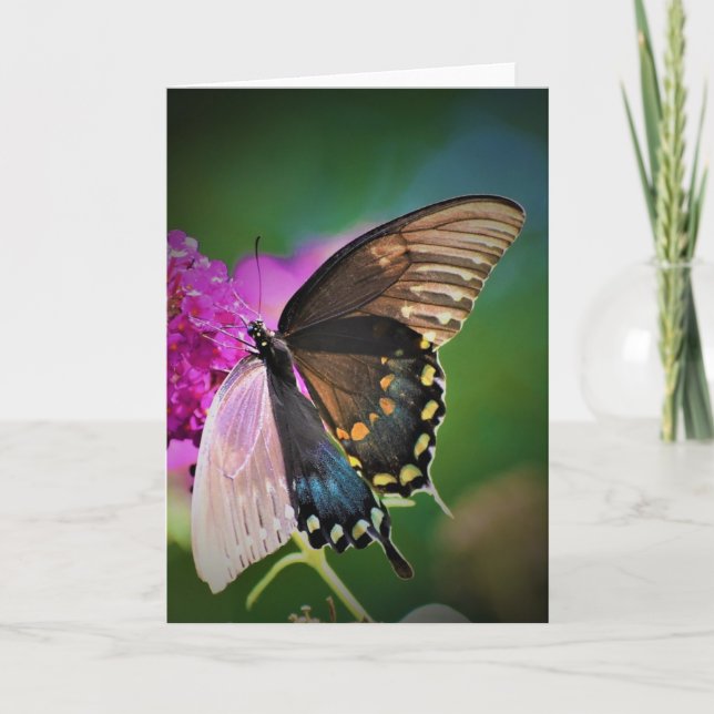 Butterfly, card (Front)