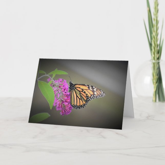 Butterfly, card (Front)