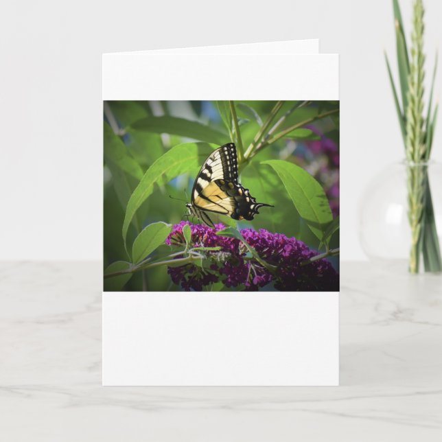 Butterfly, card (Front)