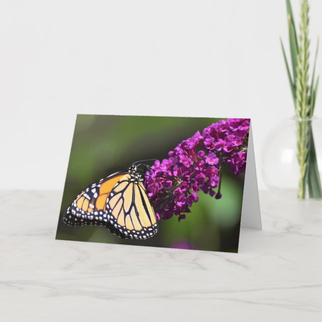 Butterfly, card (Front)