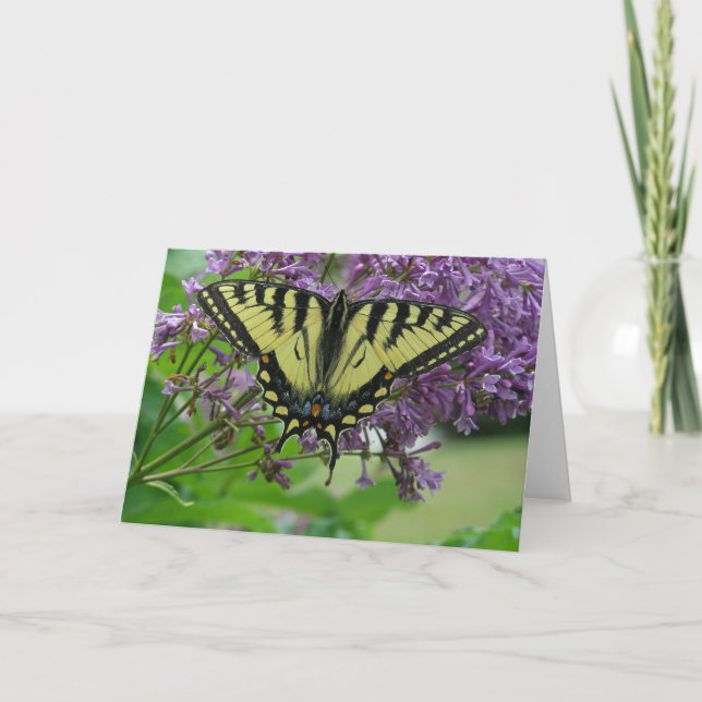Butterfly Card (Front)