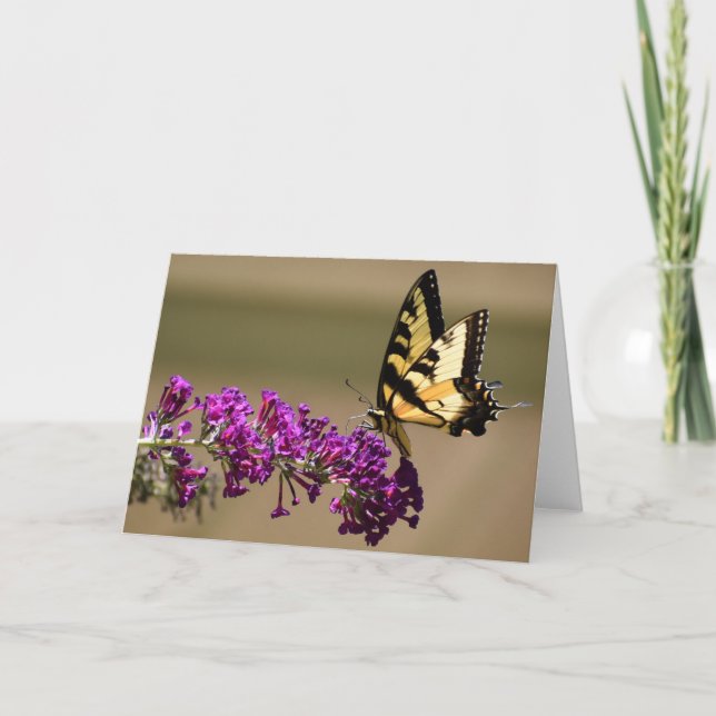 Butterfly, card (Front)