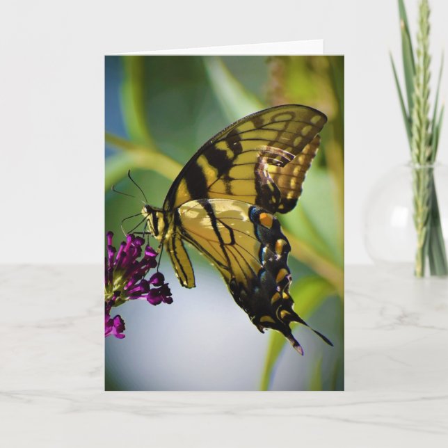 Butterfly, card (Front)