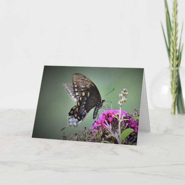 Butterfly, card (Front)