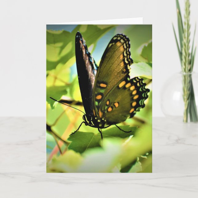 Butterfly, card (Front)